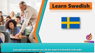Learn phrases that interest you (At the airport) in Swedish with audio