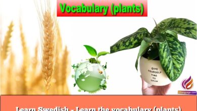 Learn Swedish – Learn the vocabulary (plants)