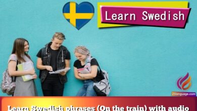 Learn Swedish phrases (On the train) with audio