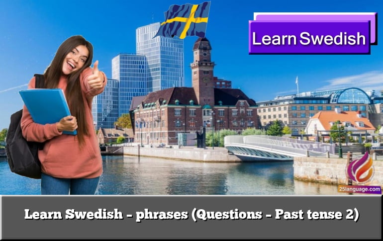 Learn Swedish – phrases (Questions – Past tense 2)