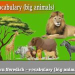 Learn Swedish – vocabulary (big animals)