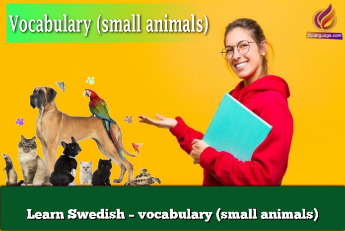 Learn Swedish – vocabulary (small animals)