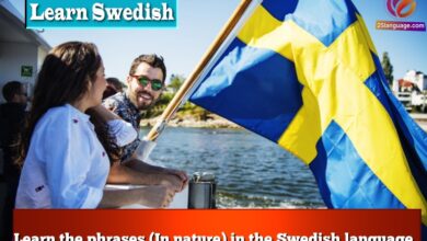 Learn the phrases (In nature) in the Swedish language