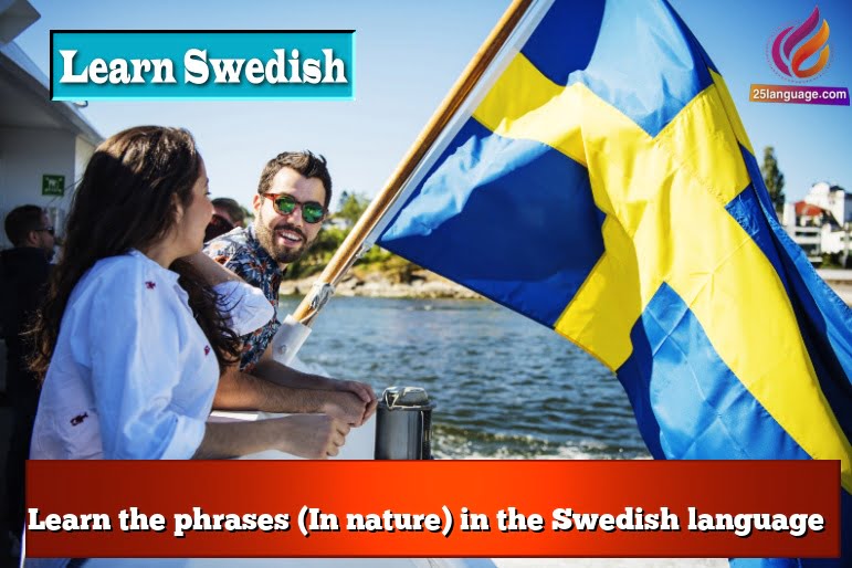 Learn the phrases (In nature) in the Swedish language