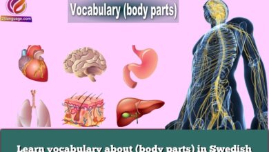 Learn vocabulary about (body parts) in Swedish
