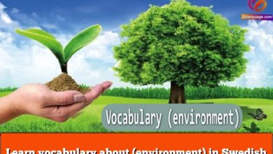 Learn vocabulary about (environment) in Swedish