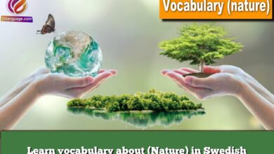 Learn vocabulary about (Nature) in Swedish