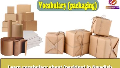 Learn vocabulary about (packing) in Swedish