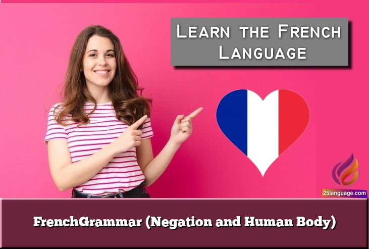 FrenchGrammar (Negation and Human Body)