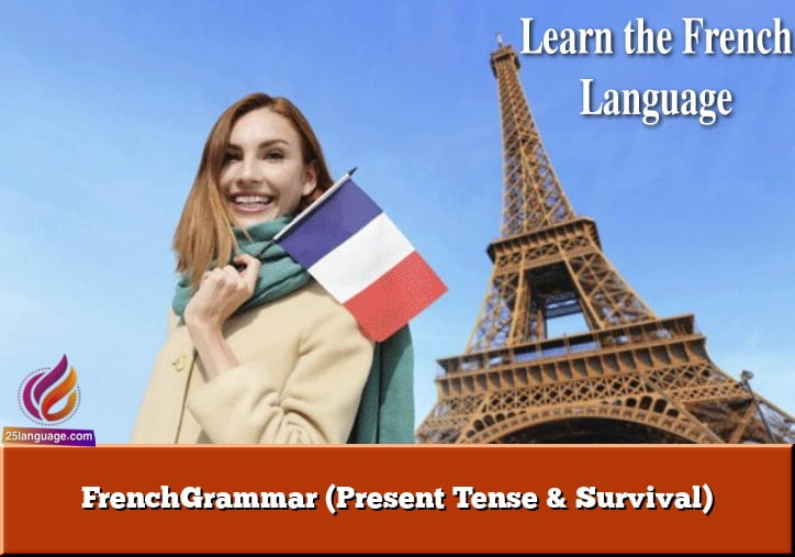 FrenchGrammar (Present Tense & Survival)