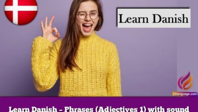 Learn Danish – Phrases (Adjectives 1) with sound