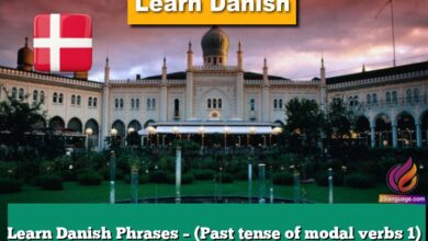 Learn Danish Phrases – (Past tense of modal verbs 1)