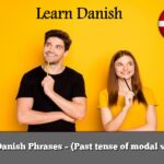 Learn Danish Phrases – (Past tense of modal verbs 2)