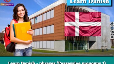 Learn Danish – phrases (Possessive pronouns 1)
