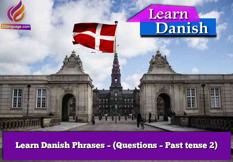 Learn Danish Phrases – (Questions – Past tense 2)