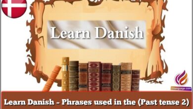 Learn Danish – Phrases used in the (Past tense 2)