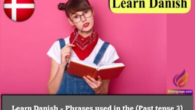 Learn Danish – Phrases used in the (Past tense 3)