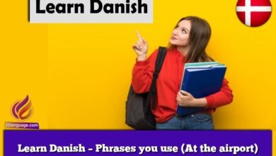 Learn Danish – Phrases you use (At the airport)
