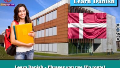 Learn Danish – Phrases you use (En route)