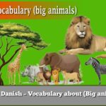 Learn Danish – Vocabulary about (Big animals)