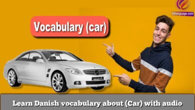 Learn Danish vocabulary about (Car) with audio