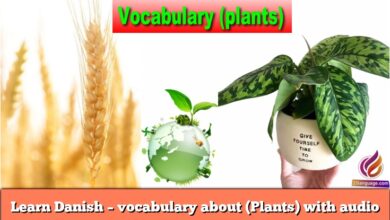 Learn Danish – vocabulary about (Plants) with audio
