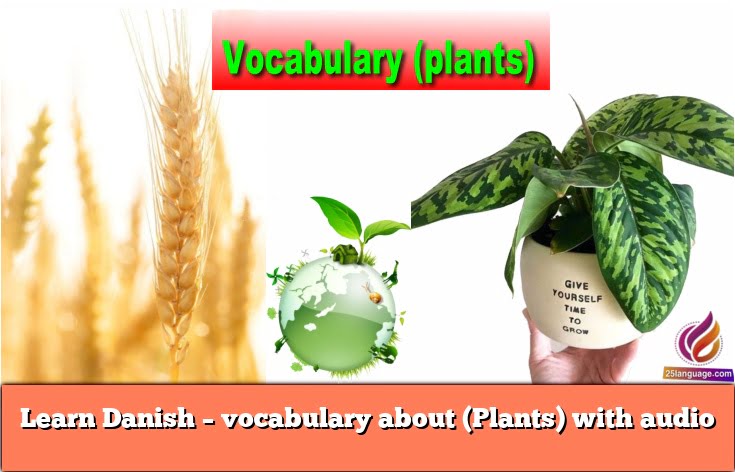 Learn Danish – vocabulary about (Plants) with audio
