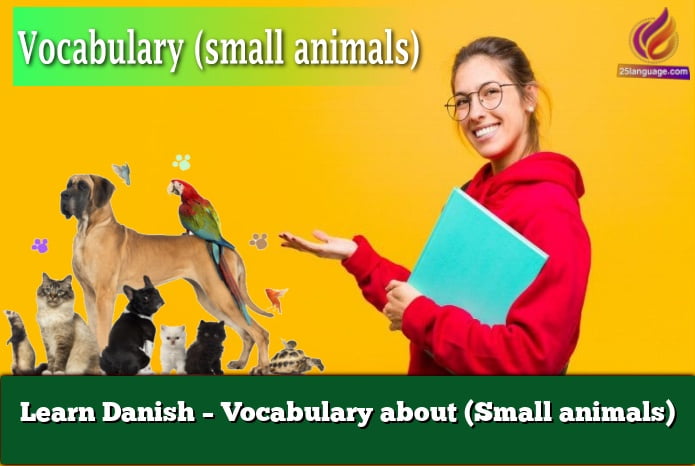 Learn Danish – Vocabulary about (Small animals)