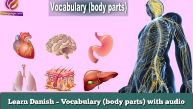 Learn Danish – Vocabulary (body parts) with audio