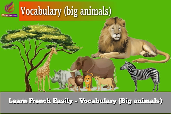 Learn French Easily – Vocabulary (Big animals)