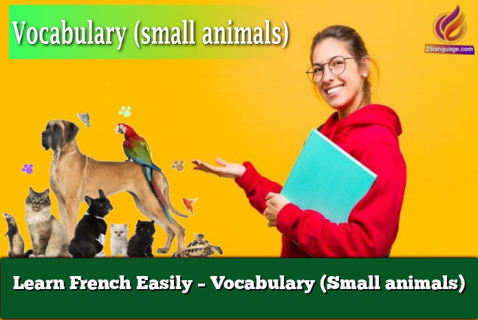 Learn French Easily – Vocabulary (Small animals)