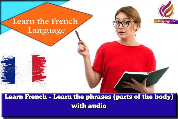 Learn French – Learn the phrases (parts of the body) with audio