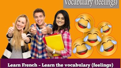 Learn French – Learn the vocabulary (feelings)