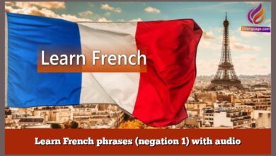 Learn French phrases (negation 1) with audio