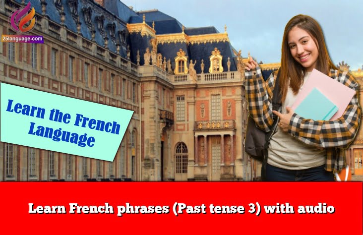 Learn French phrases (Past tense 3) with audio