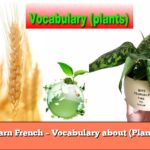 Learn French – Vocabulary about (Plants)