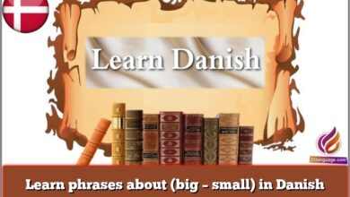 Learn phrases about (big – small) in Danish