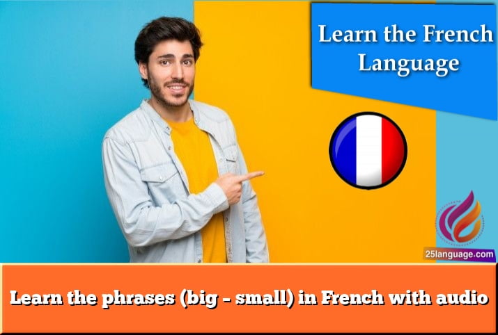 Learn the phrases (big – small) in French with audio