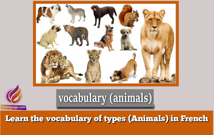 Learn the vocabulary of types (Animals) in French