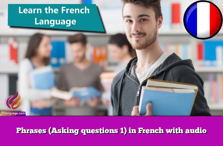 Phrases (Asking questions 1) in French with audio