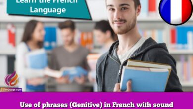 Use of phrases (Genitive) in French with sound
