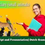 (Script and Pronunciation) Dutch Grammar
