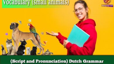 (Script and Pronunciation) Dutch Grammar