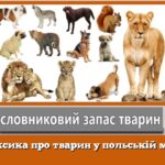 Лексика про тварин у польській мові