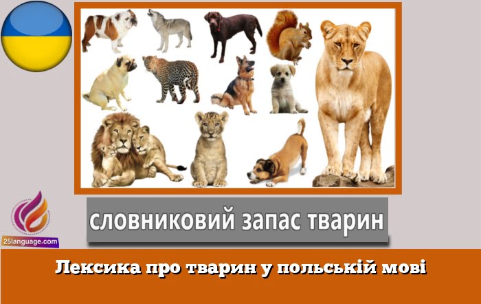 Лексика про тварин у польській мові