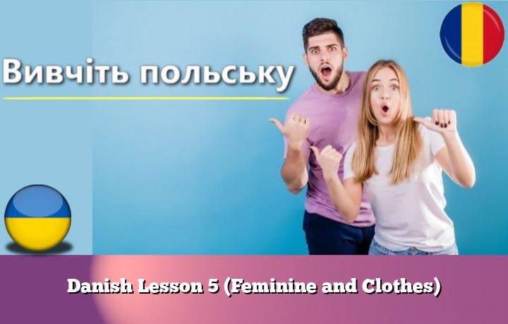 Danish Lesson 5 (Feminine and Clothes)