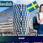 Вирази присвійних займенників у шведській мові