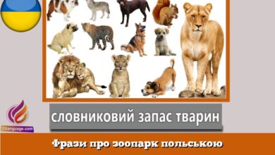 Фрази про зоопарк польською