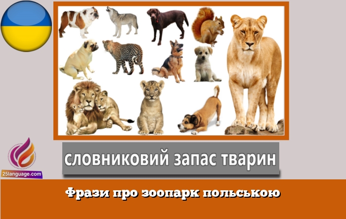 Фрази про зоопарк польською