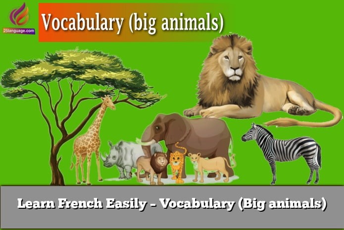 Learn French Easily – Vocabulary (Big animals)